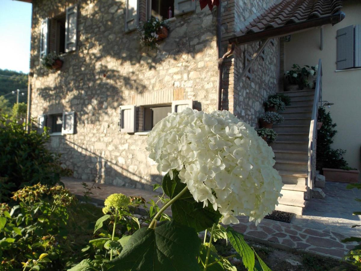 נורצ'יה B&B Nonna Rosa מראה חיצוני תמונה